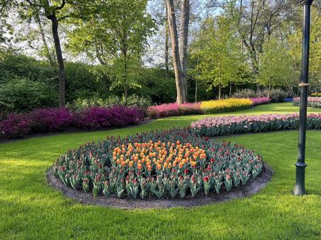 キューケンホフ公園 キューケンホフ公園 キューケンホフ,チューリップ,アムステルダムの写真素材