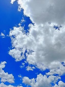 青空と雲 青空と雲の写真