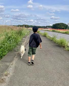 白犬と男の子のお散歩 犬,少年,散歩の写真素材