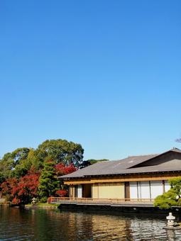 秋の行船公園の紅葉・平成庭園(江戸川区) 秋の行船公園の紅葉・平成庭園(江戸川区) 秋,紅葉,行船公園の写真素材