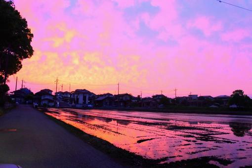 Photo, evening, silhouette, purple, 
