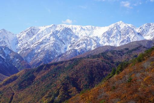 鮮やかな紅葉 山,自然,風景の写真素材