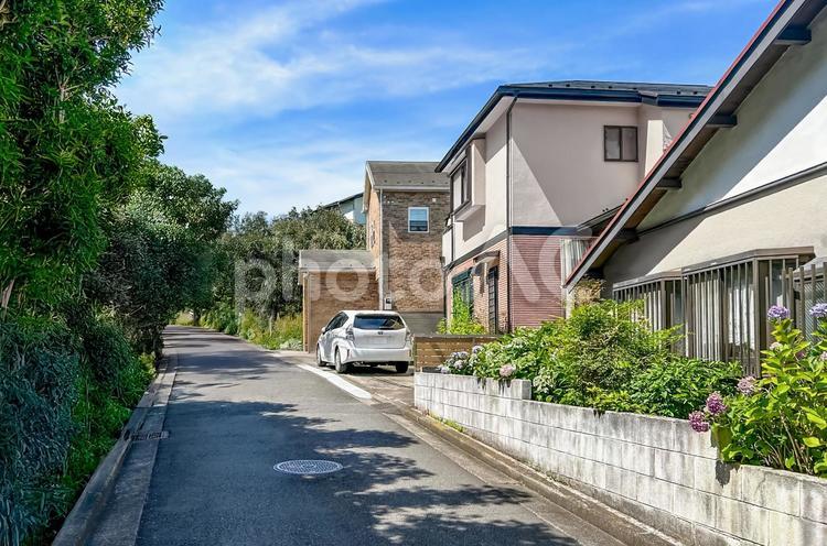 木々の多い道沿いに建つ戸建て住宅 住宅,戸建て,マイホームの写真素材