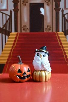 お化けの館の階段とシロフクロウ お化けの館の階段とシロフクロウ ハロウィン,かぼちゃ,おばけの写真素材