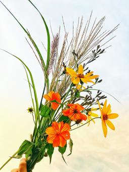 秋のブーケ 秋のブーケ 秋,花,花束の写真素材