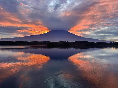 田貫湖と富士山 田貫湖と富士山の写真