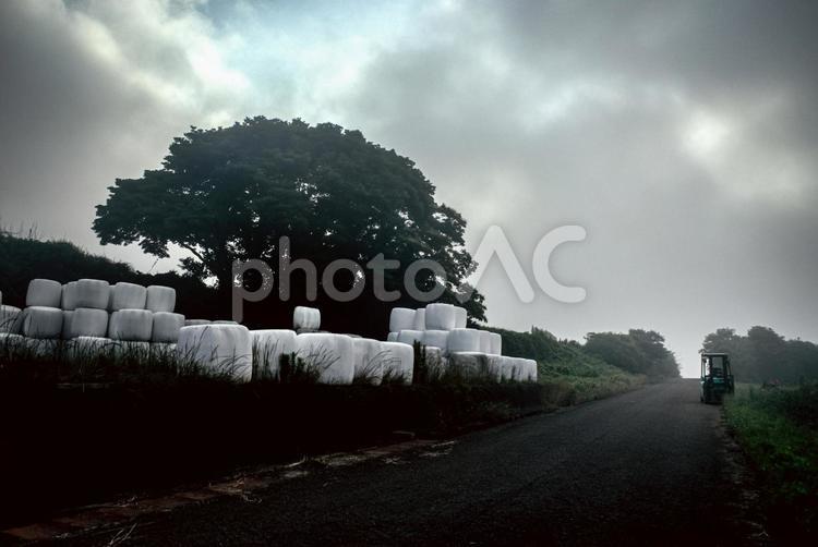 ＜素材＞畑に山積みの牧草ロールと霧の朝 フォークリフト,牧草ロール,ロールベールラップサイロの写真素材