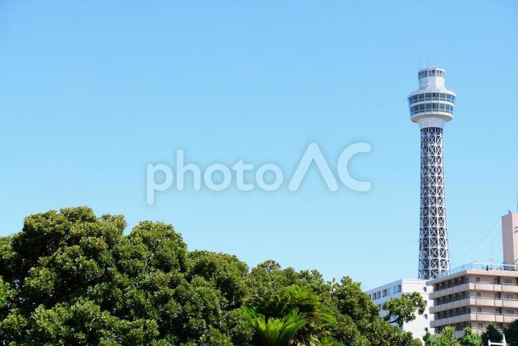 爽やかな日 横浜マリンタワー,横浜,マリンタワーの写真素材
