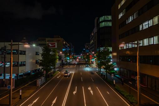 [Niigata] Streets around Niigata Station, JPG