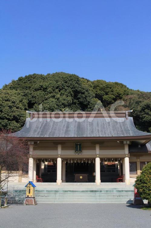福岡市の西公園内の光雲神社 光雲神社,西公園,福岡市の写真素材