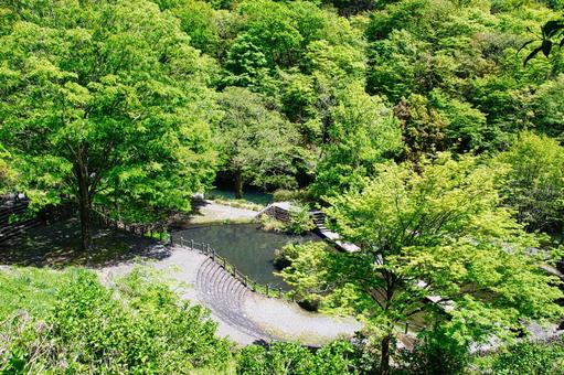 磨墨の里公園 磨墨の里公園の写真