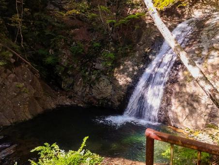 太閤下ろしの滝つぼ 秋,太閤下ろしの滝,滝つぼの写真素材