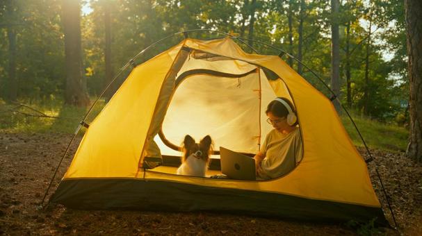 黄色いテント越しのシルエット 女性,外国人,犬の写真素材