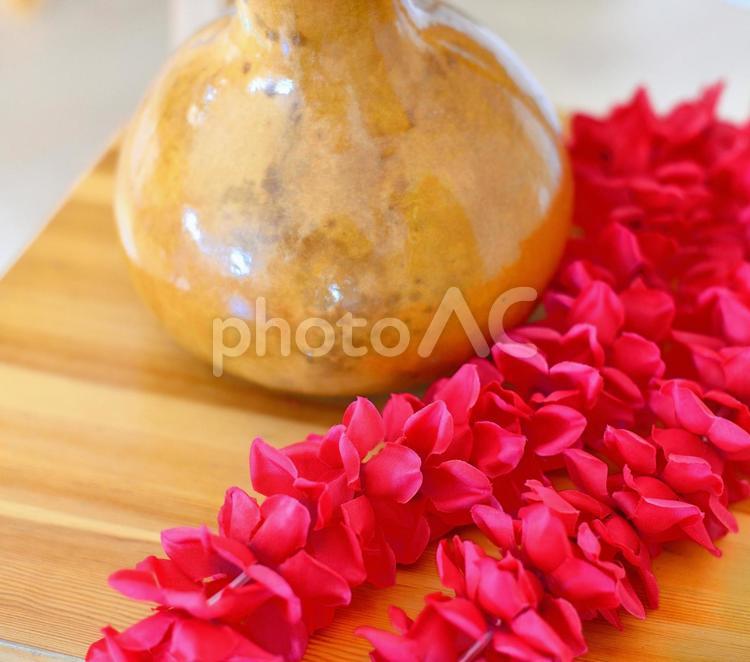 イプと赤いレイが好き フラダンス,レイ,イプの写真素材