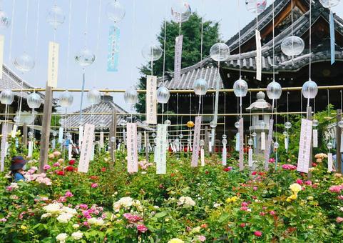 奈良 おふさ観音 奈良 おふさ観音 奈良,おふさ観音,風鈴寺の写真素材