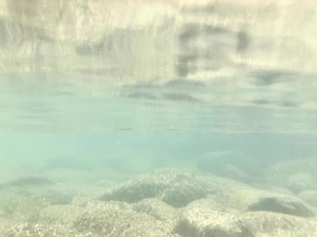 Underwater in a crystal clear mountain stream ⑩, JPG Underwater in a crystal clear mountain stream ⑩, JPG