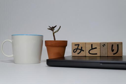 みどりの文字ブロックとコーヒーと多肉植物 みどり,緑,グリーンの写真素材