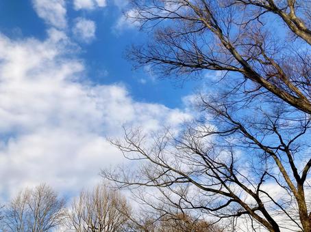 冬空 冬空の写真