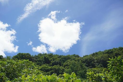 山の上に白い雲 山の上に白い雲の写真