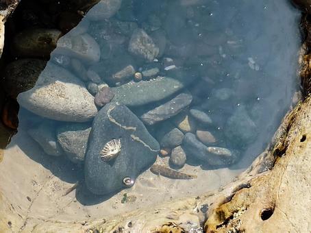 小さな潮だまり 小さな潮だまり タイドプール,海,磯の写真素材