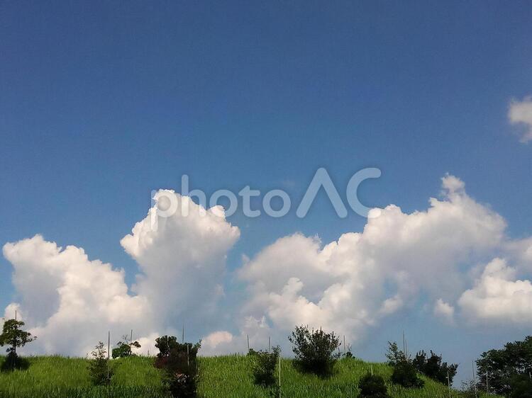 風景　青空と雲と緑の丘 のどか,空,風景の写真素材