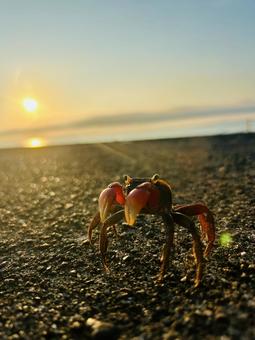朝日を浴びる 朝日を浴びるの写真