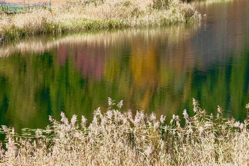 リフレクション 水面,湖面,反射の写真素材