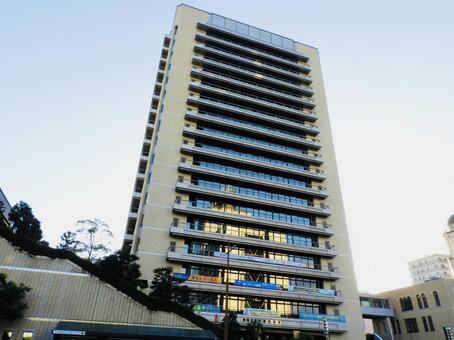 静岡市役所静岡庁舎新館・葵区役所を仰ぐ3 静岡市役所,葵区役所,静岡市の写真素材