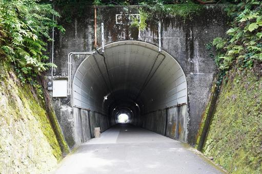 宮崎 鵜戸崎隧道1(トンネル) 宮崎 鵜戸崎隧道1(トンネル) 鵜戸崎隧道,鵜戸崎トンネル,隧道の写真素材