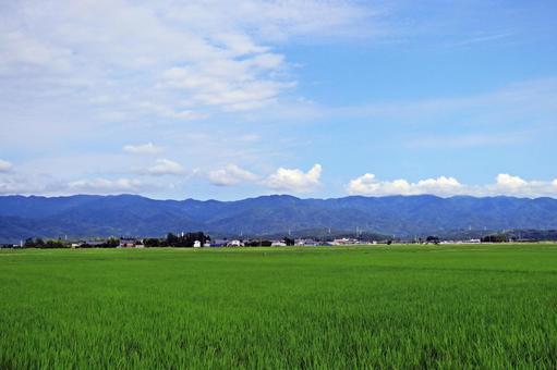 田園風景と山並みと青空 田園風景と山並みと青空 水田,田園風景,山並みの写真素材