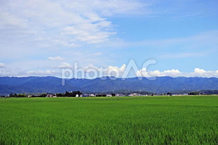 田園風景と山並みと青空 水田,田園風景,山並みの写真素材