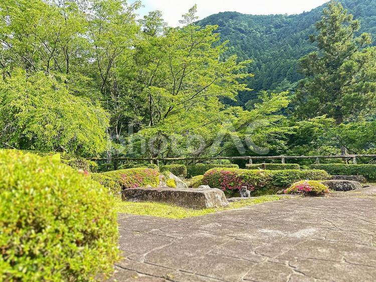 和歌山県　北山村　北山川　山林　 風景,自然,景観の写真素材