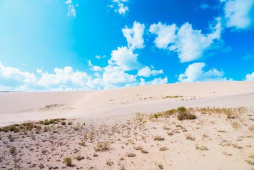 【鳥取】青空と鳥取砂丘 鳥取砂丘,砂丘,鳥取の写真素材