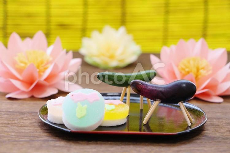 精霊馬　精霊牛 精霊馬,精霊牛,お盆の写真素材