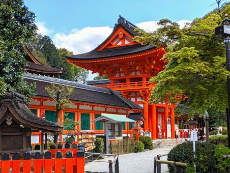 上賀茂神社 上賀茂神社 上賀茂神社,寺社仏閣,神道の写真素材