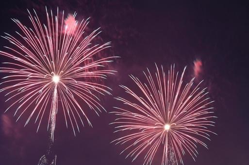 夜空に打ち上がる花火 花火,夏,祭りの写真素材