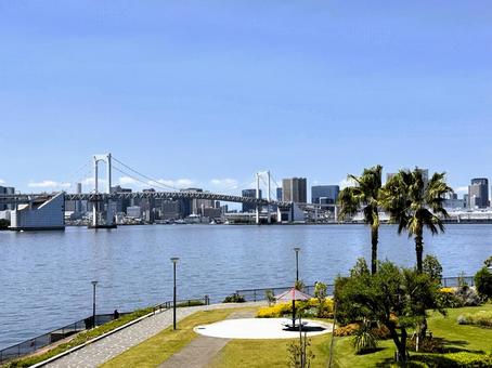 江東区から見た東京の街 2025年春 江東区から見た東京の街 2025年春 東京,港区,豊洲の写真素材