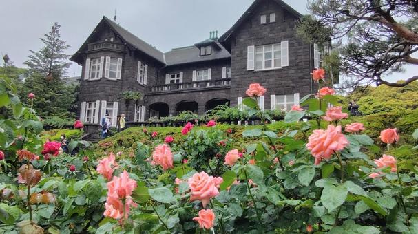 薔薇と洋館 薔薇と洋館 薔薇,バラ,薔薇園の写真素材