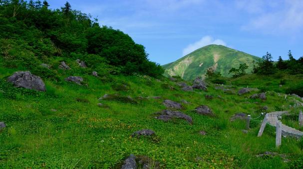 ひょっこり火打山 ひょっこり火打山の写真