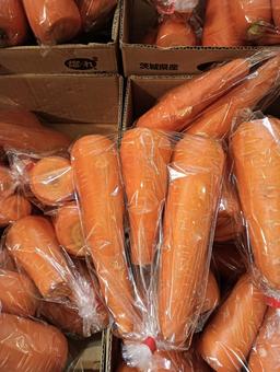 にんじん にんじん,ニンジン,人参の写真素材