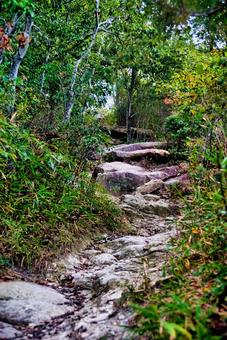 高御位山 播磨平野,山岳,平野の写真素材