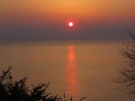 夕方散歩 夕方散歩の写真