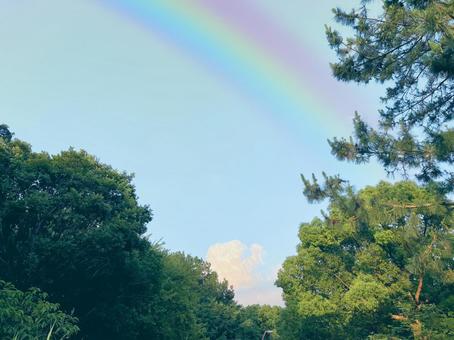 木々 空 雲 美しい 木々 空 雲 美しい の写真