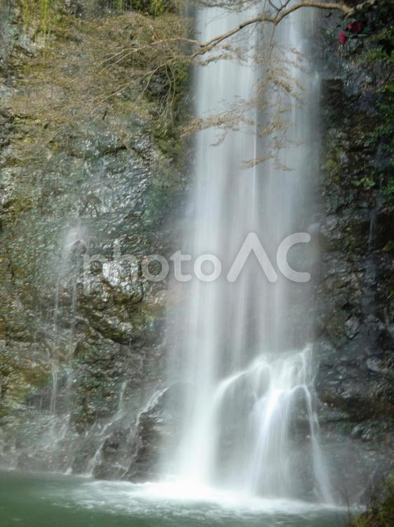 箕面の滝 滝,箕面,水の写真素材