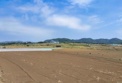 神奈川県三浦市南下浦町の畑・田園風景 神奈川県三浦市南下浦町の畑・田園風景の写真