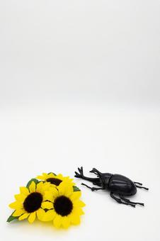 カブトムシとひまわり カブトムシとひまわりの写真