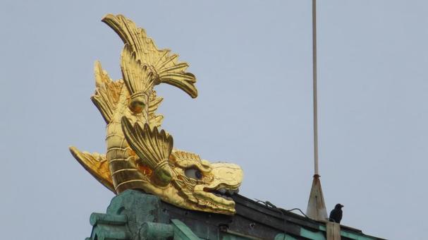名古屋城　天守閣の金鯱　雄 名古屋城,尾張徳川家,御三家の写真素材