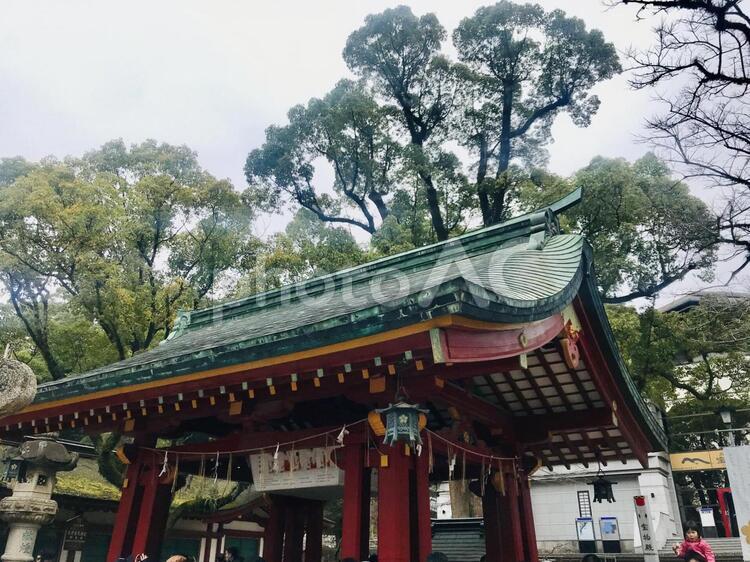 太宰府天満宮　手水舎 太宰府,福岡,太宰府天満宮の写真素材