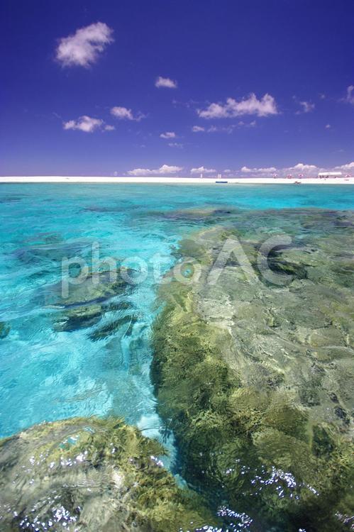 沖縄の美しい海と青空 沖縄,海,ビーチの写真素材