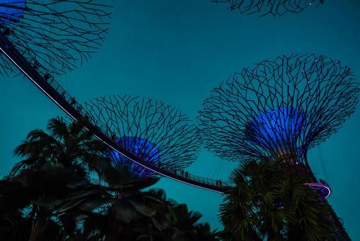 【シンガポール】スーパーツリー ガーデンズバイザベイ,スーパーツリー,植物園の写真素材